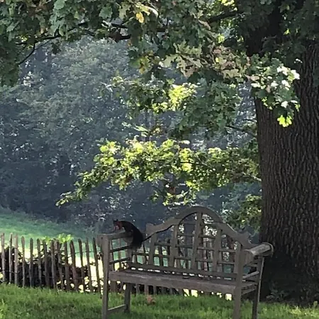 Gartenblick *