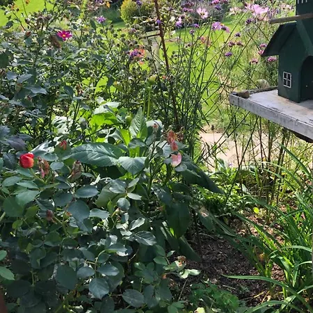 Gartenblick