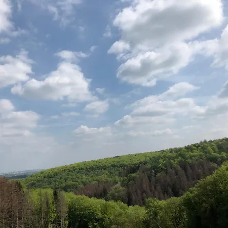 公寓 Gartenblick 莱希林根
