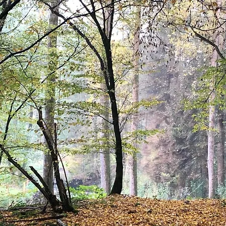 아파트 Gartenblick 라이힐링겐