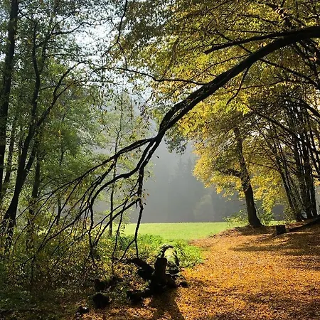 아파트 Gartenblick 라이힐링겐