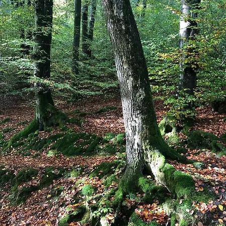 Gartenblick Apartamento