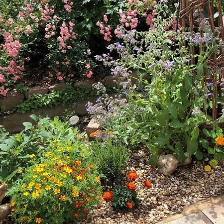 Gartenblick