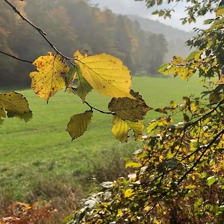 Gartenblick Leichlingen
