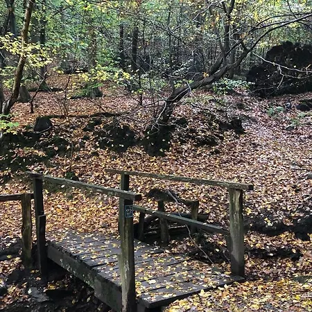 公寓 Gartenblick 莱希林根