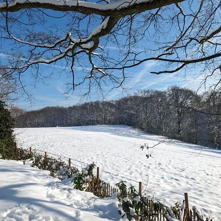 Gartenblick *