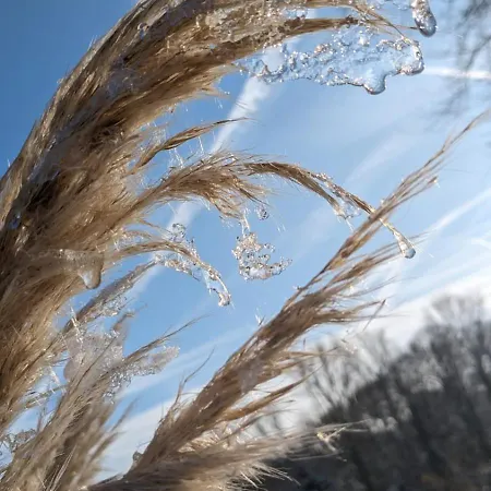 Gartenblick * Leichlingen