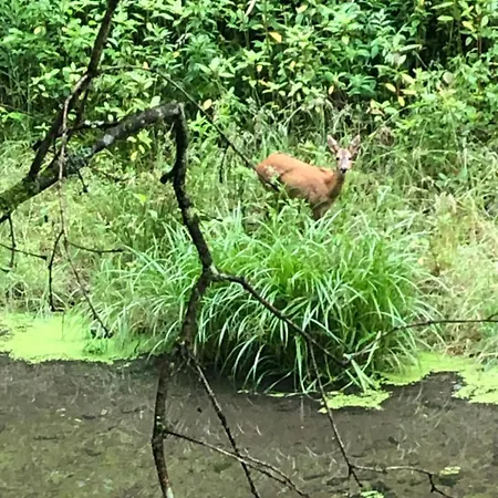 Gartenblick Apartamento *