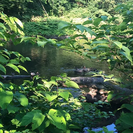 Gartenblick Leichlingen