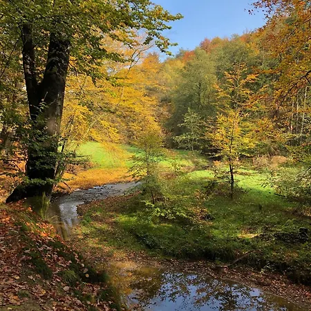 Gartenblick * Leichlingen