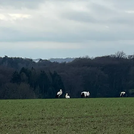 Appartement Gartenblick *