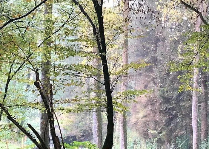 Appartamento Gartenblick Leichlingen