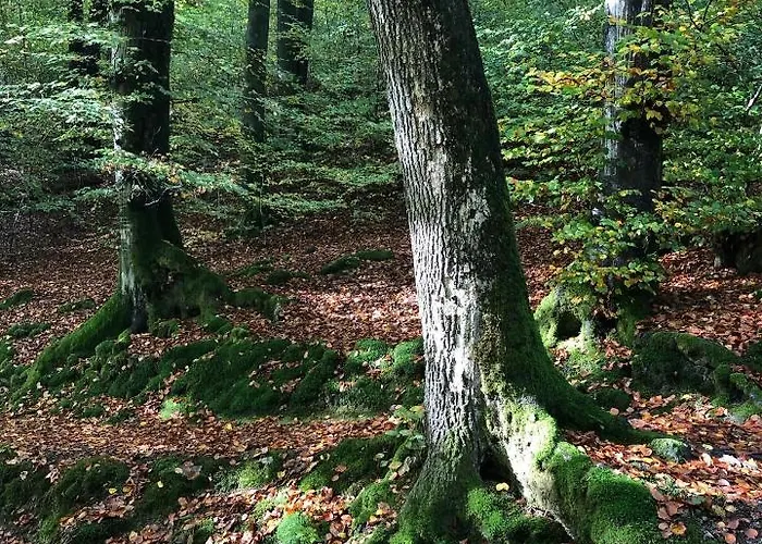 Gartenblick Appartamento