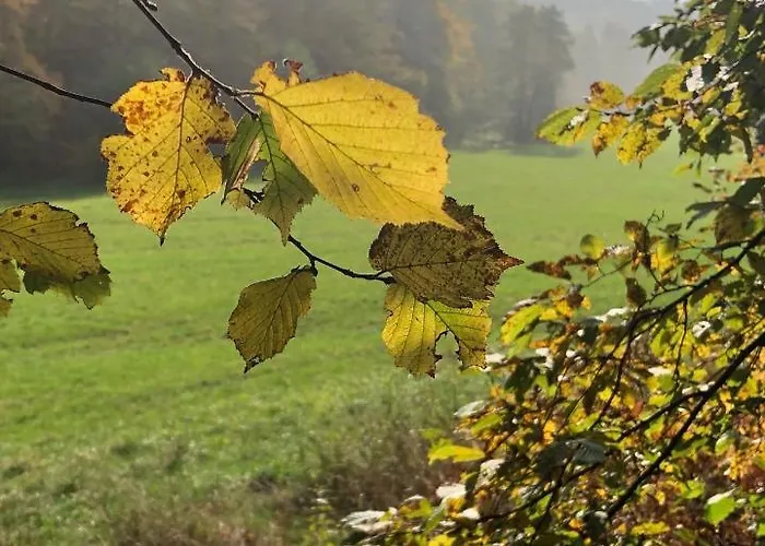 Gartenblick Leichlingen