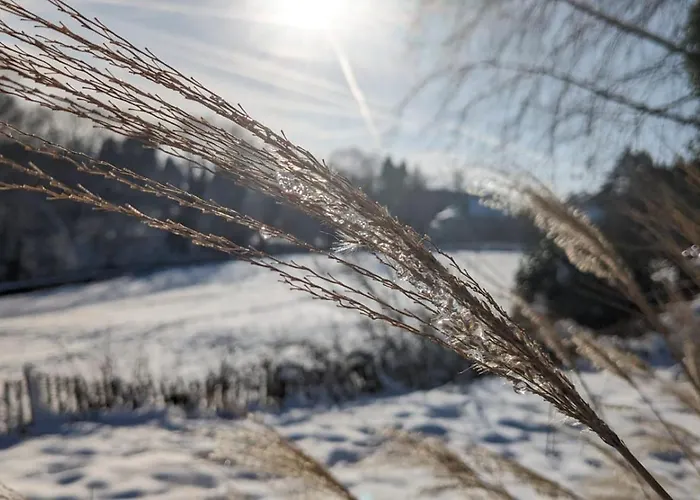 Apartmán Gartenblick *