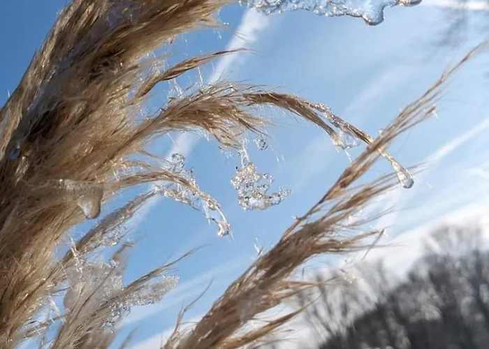 Gartenblick * Leichlingen