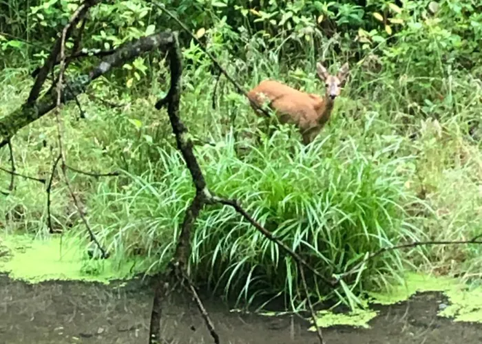 Gartenblick Appartamento *