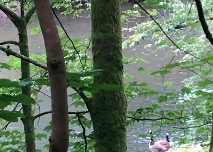 Gartenblick * Leichlingen