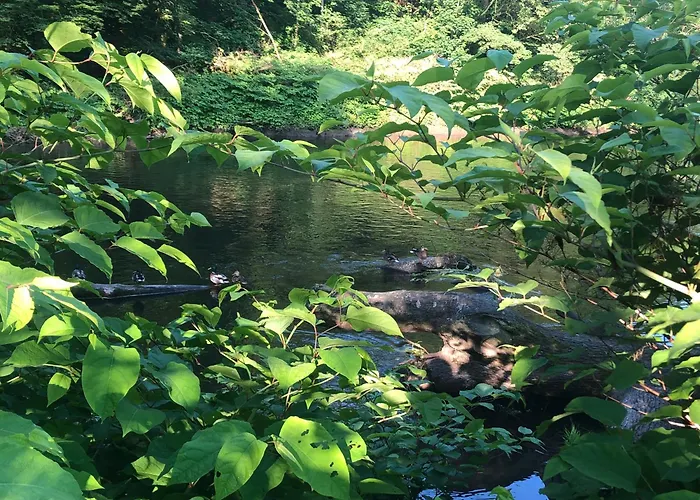 Gartenblick Leichlingen