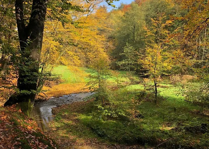 Gartenblick * Leichlingen